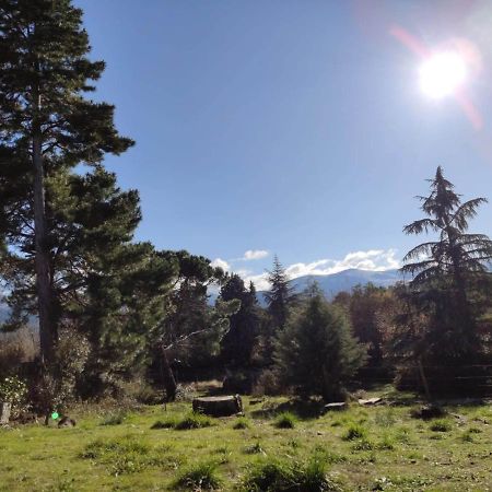 Casa Rural El Pinar Villa Navas de Riofrio Kültér fotó