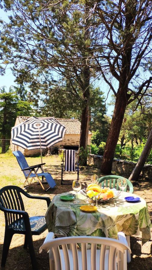 Casa Rural El Pinar Villa Navas de Riofrio Kültér fotó